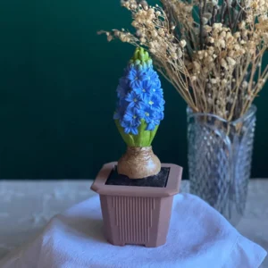 Hyacinth in pot scented candle