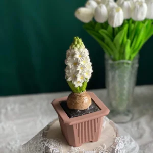Hyacinth in pot scented candle