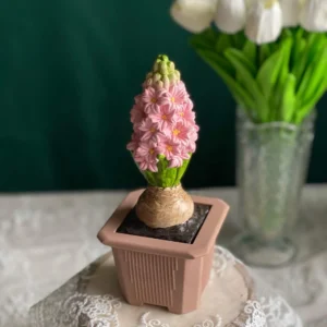 Hyacinth in pot scented candle