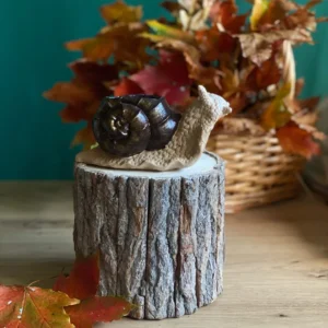 Handmade scented snail-shaped candle with a dark brown shell, styled on a rustic wood stand with autumn leaves.